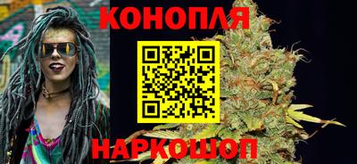 ГАЛЛЮЦИНОГЕННЫЕ ГРИБЫ Камышлов